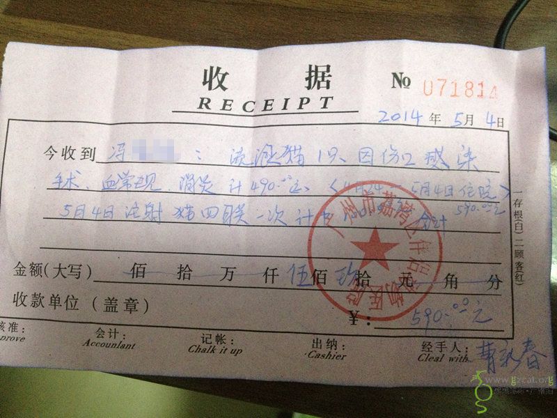 三花母猫小丸子绝育后伤口感染再处理医疗费用(请确认