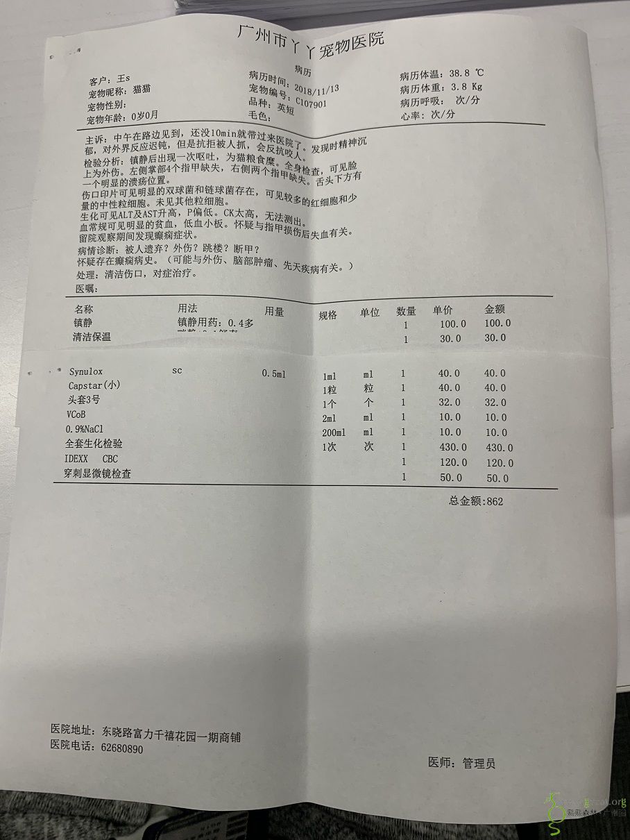 病历