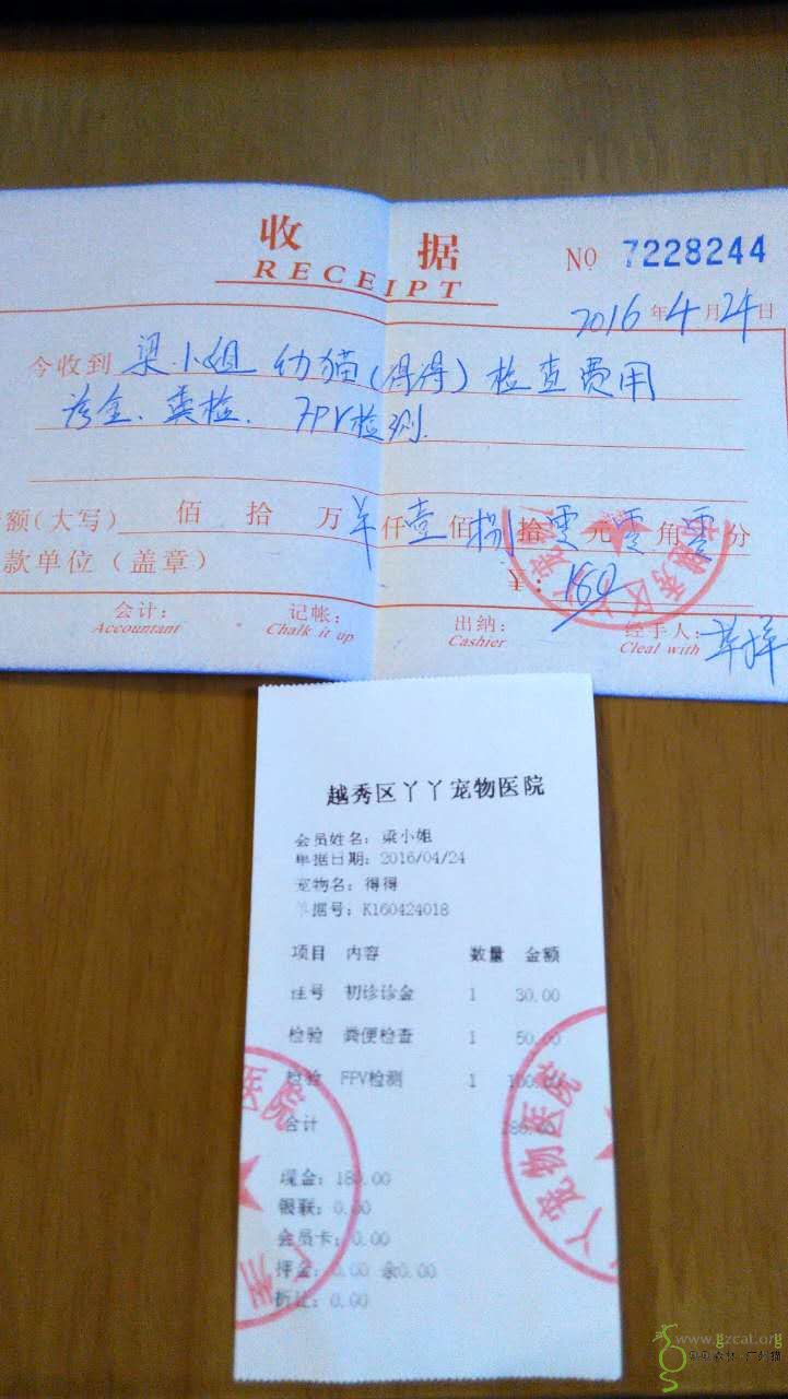 【重复报销】细菌性肠胃炎的流浪小得得检查治疗费报销