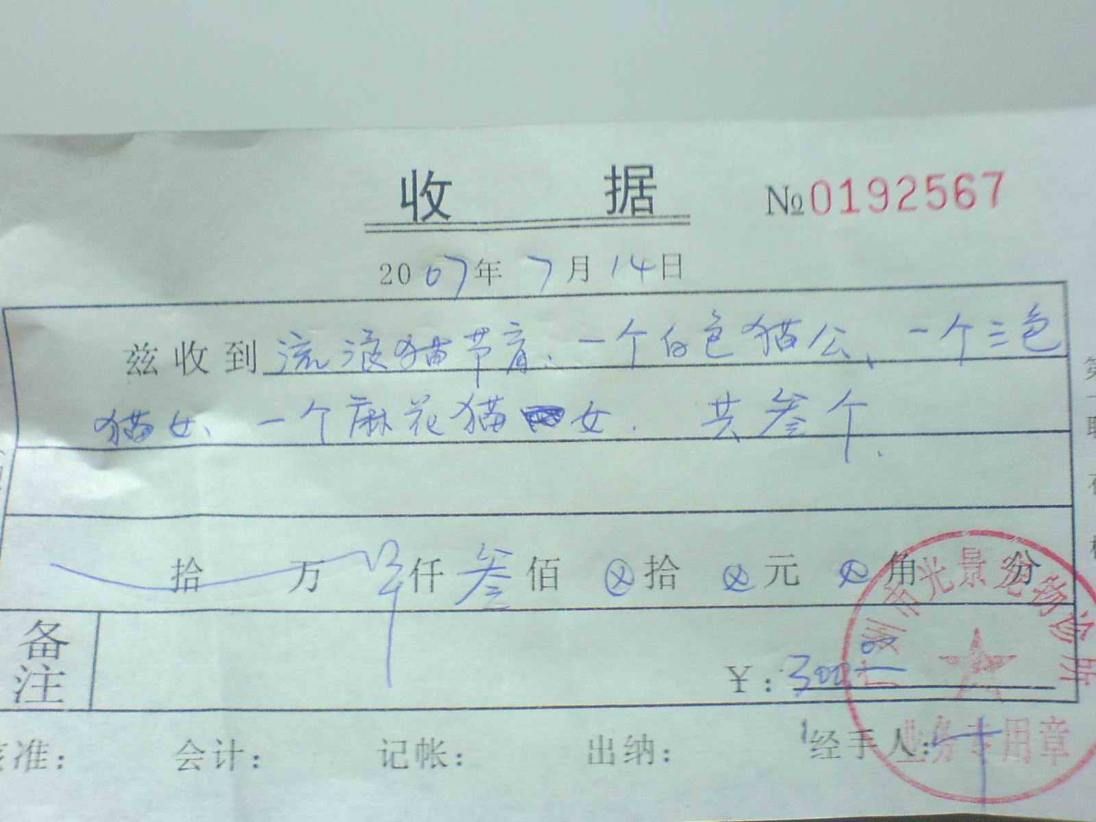 申请两只流浪母猫绝育手术费用(已收到报销款,烦请锁贴)