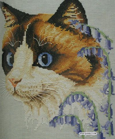 [转帖]猫咪十字绣,找找看有没有你家猫咪?
