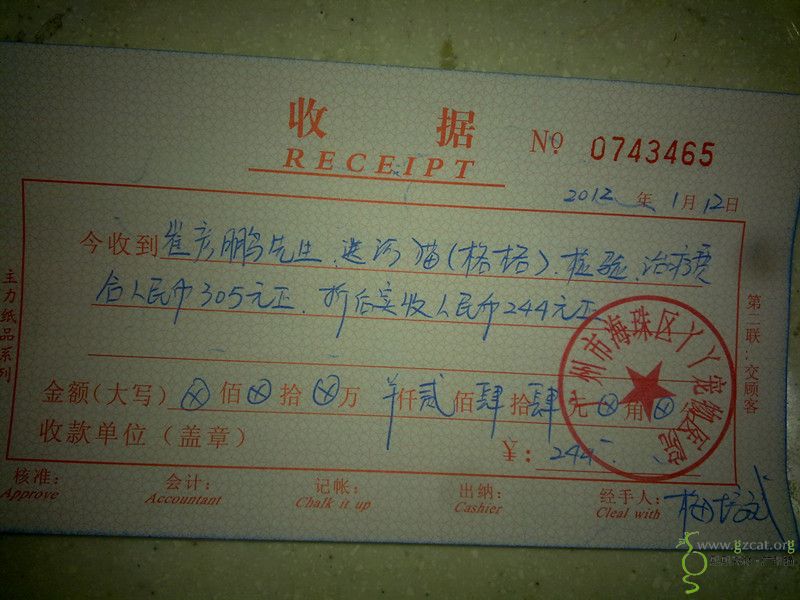 报销仲恺农业工程学院流浪猫格格肠胃炎治疗费用(齐)